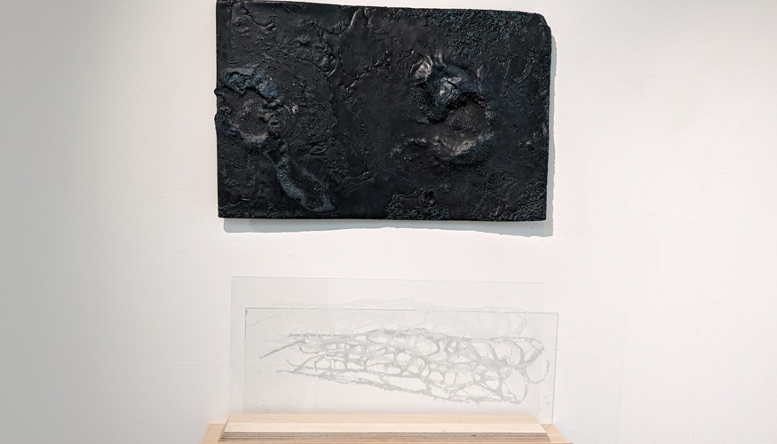 morphological change.jpg