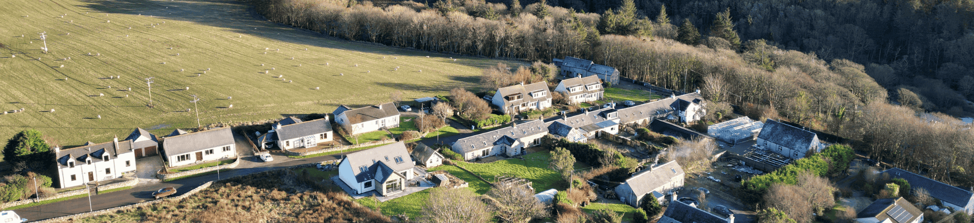 Untitled design (27).png