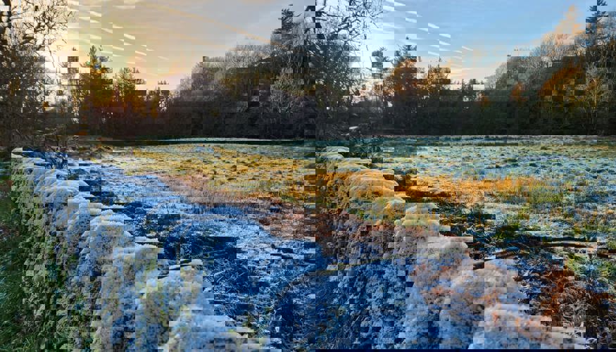 WhatsApp Image 2024-12-10 at 14.12.16.jpeg