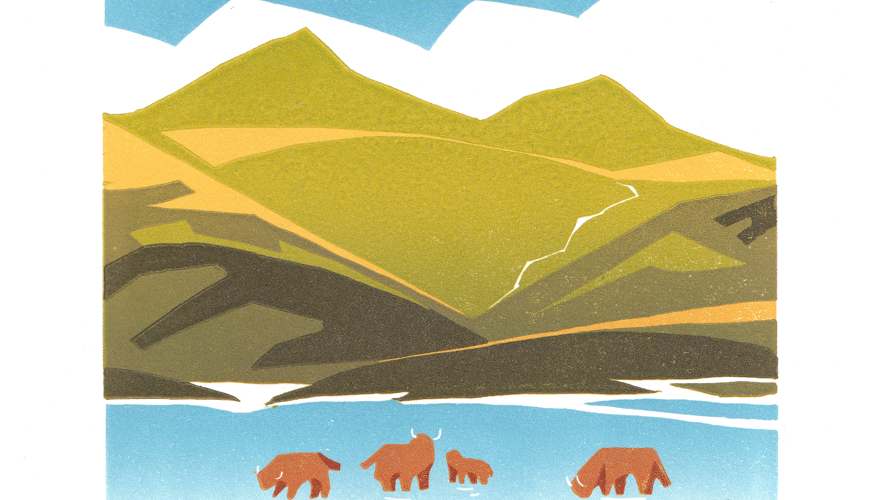 Highland Cow Reduction Print.png