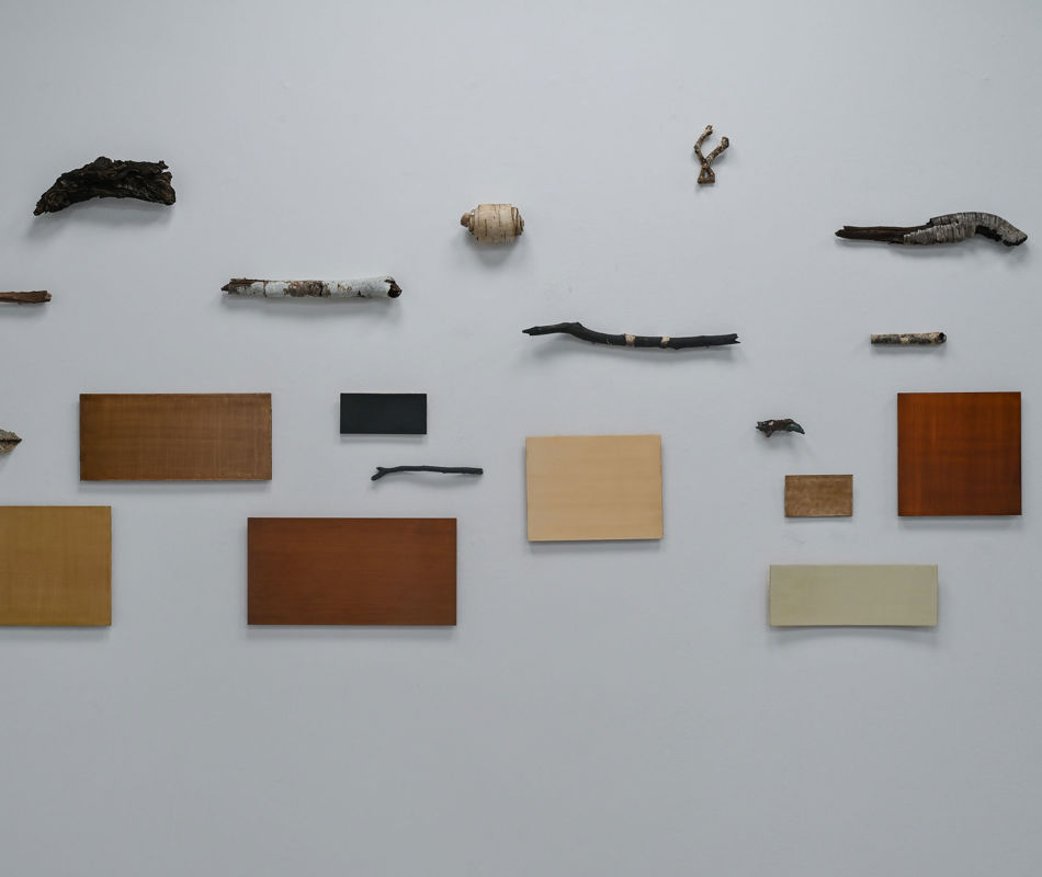 Zitternde Zungen, Galerie Ursula Walter, Photo By Anja Schneider. Credit Rutger Emmelkamp