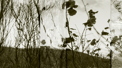 Anardbheithe. Credit Angela Nicillebhraighe