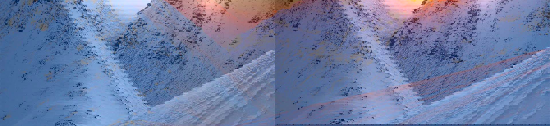 Screenshot 2023-05-10 at 09.47.57_compressed.jpg