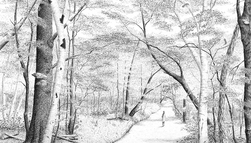 If You Go into the Woods, ink and graphite on paper.png