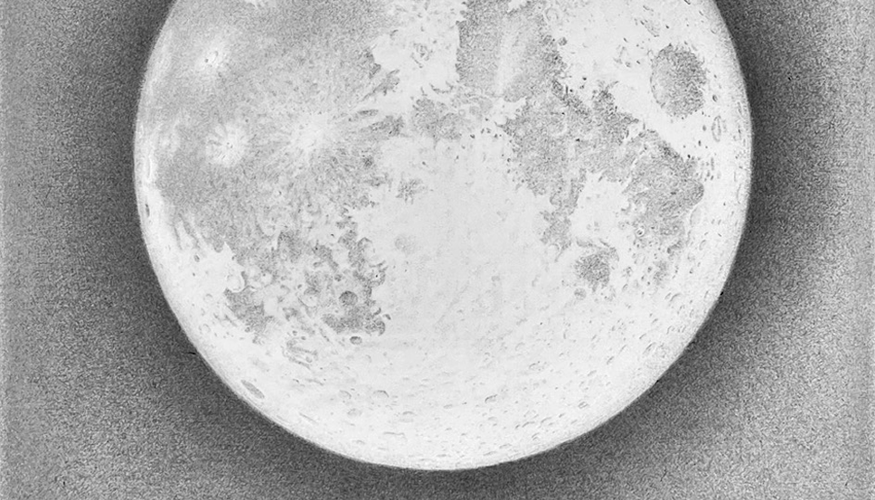 Moon - a Portrait, ballpoint pen on paper.png