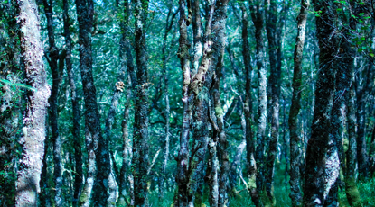 Ruigheachd, part of Fàgail Hiort project. Credit  Rhona Nic Dhùghaill