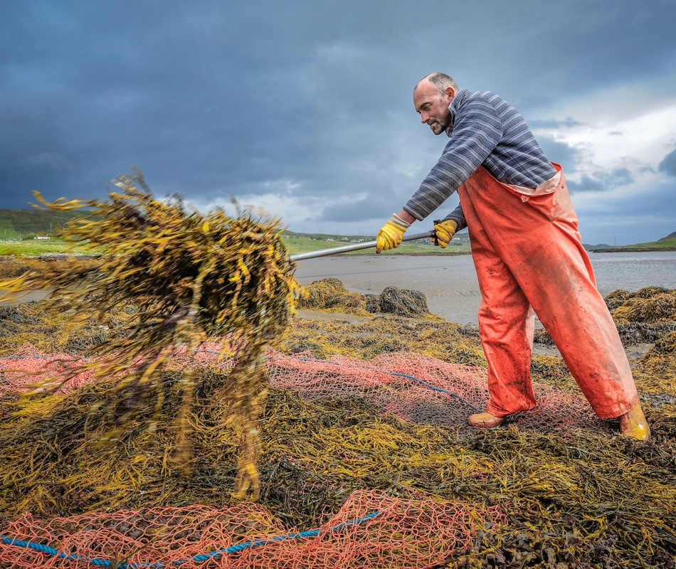 Lewis, Judy Parrott. Credi Judith Parrott