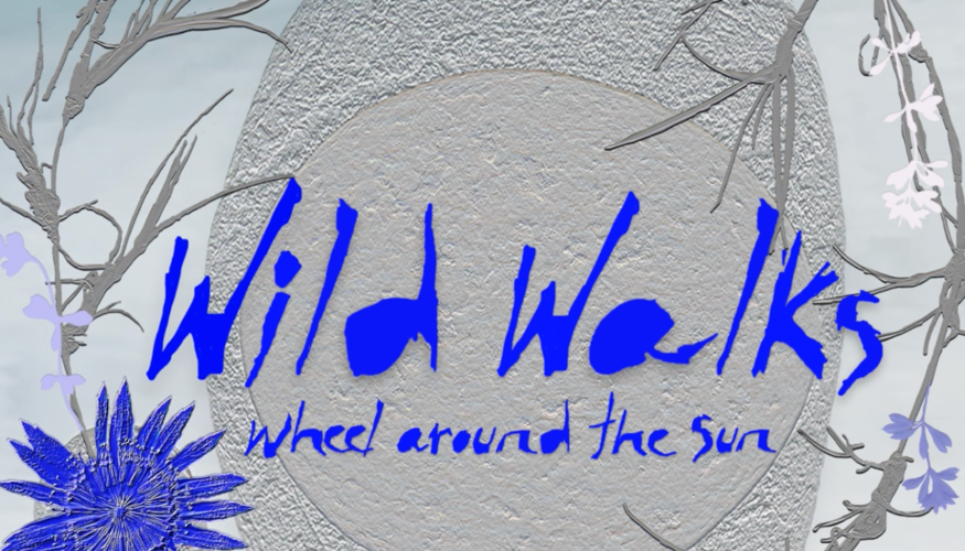 7. Wild Walks Event Series.png