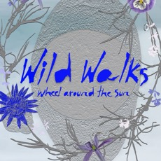 Charts-Walks_Image.jpeg (3)