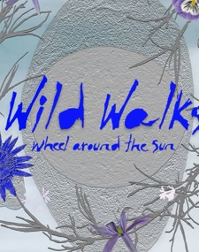 Charts-Walks_Image.jpeg (3)