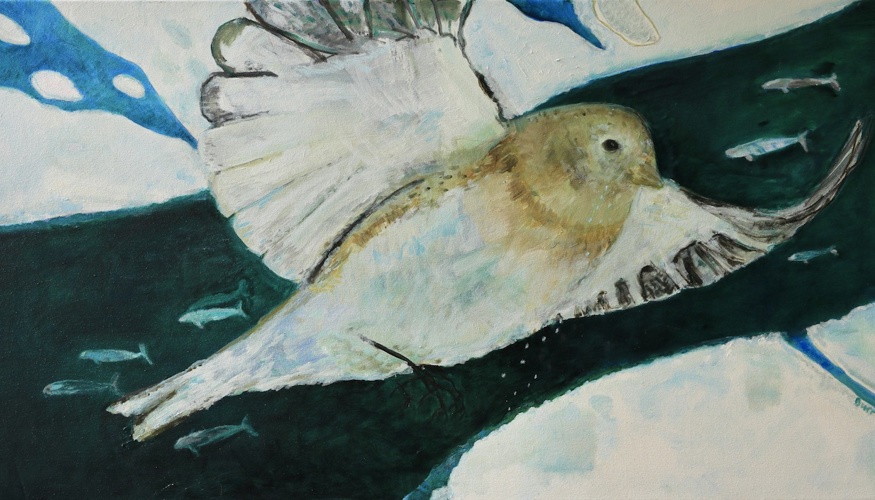 Arctic-Protector copy.jpeg