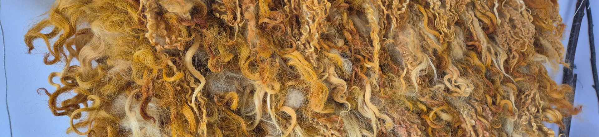 Untitled design (1).jpg